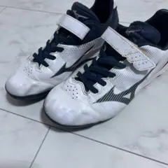 Item thumbnail for item 09b58b15-bdc3-4579-a592-99d43403c6af