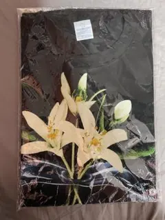 TENBLANK Tシャツ　セントマイケルコラボ　glass heart 受注生産販売が決定！TENBLANK×©SAINT Mxxxxxx (セント マイケル