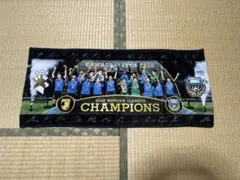 Item thumbnail for item c4233a70-6dda-4193-b862-ab754c2203fa