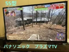 2026年最新】th－p55gt60の人気アイテム - メルカリ