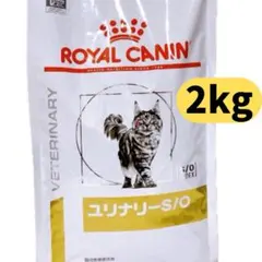 Item thumbnail for item 8040c9fc-2349-4cd1-88dd-5ae855f0f786