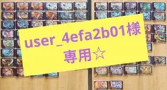 user_4efa2b01様専用☆