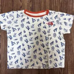 THE NORTH FACE カクタス柄 Tシャツ 120