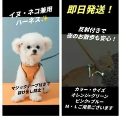 M　ピンク　水色　スカイブルー　リード　ハーネス　猫　小動物　犬　ペット　散歩