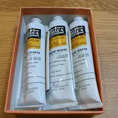 Item thumbnail for item ea274efa-9717-40b9-bc8b-9e17c39d239d