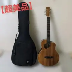 【超美品】aNueNue Bird M 3 アコースティックギター＆ギターケース