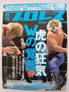 訳あり】 プロレス カード 初代 タイガーマスク 新日本プロレス