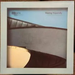 D*Note Waiting Hopefully レコード