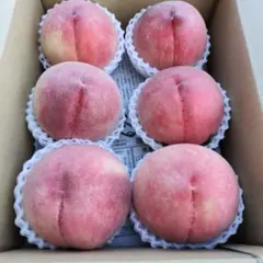 山梨県産★桃★もぎたて発送★南アルプス★産地直送★ゆめしらね★希少★ご家庭用のサムネイル