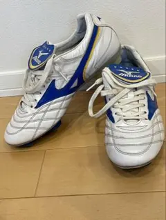 ウェーブカップ レジェンド 25センチ 新品未使用 mizuno ウェーブカップレジェンド 25.0cm - メルカリ