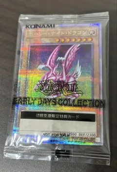 2025年最新】ホーリーナイトドラゴン 25thの人気アイテム - メルカリ