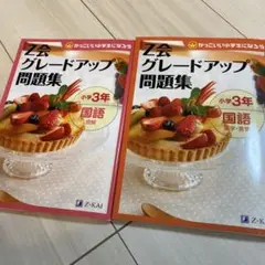 Z会グレードアップ問題集　小学3年　国語　２冊