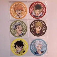 ハイキュー　マツキヨコラボ　ステッカー　6枚セット