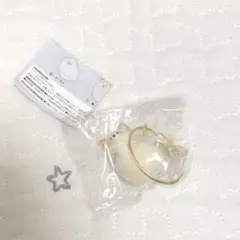 うちの子 けだまだま 〔 柴犬 〕