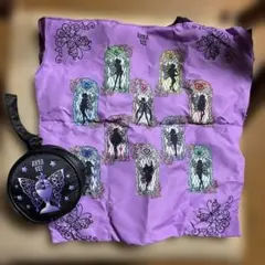 T*O様 ANNA SUI エコバッグ