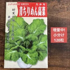 ○作りやすい 瓜 種セット 一夜漬漬 漬物に最適 - メルカリ