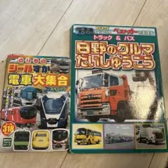 Item thumbnail for item bd1cf9bc-7607-434c-bf18-5fce5dd058b0