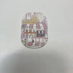 Item thumbnail for item 0971538d-26c2-450c-a46a-c38bb110745a