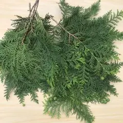 Item thumbnail for item 5c0fd2c7-caa3-4777-9910-395b027cfd0a