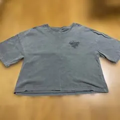 ROXY Surf Club クロップド丈 半袖Tシャツのサムネイル