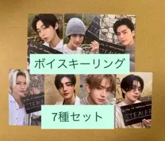 ENHYPEN VANISH ボイスキーリング 封入トレカ　7種コンプリート