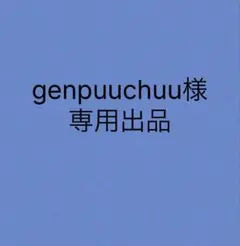 genpuuchuu様　専用出品