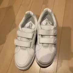 Item thumbnail for item b7cadfc6-08ac-47e1-9a0f-f0caaa3b6ab7