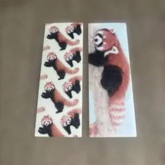 レッサーパンダ しおり2種セット
