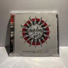 【未開封品】　ハルカミライ　日本武道館初単独公演　ヨーロー劇場-futures-