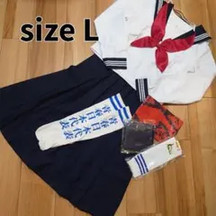 【Lサイズ】制服 ハロウィン コスプレ 新しい学校のリーダーズ 公式 靴下