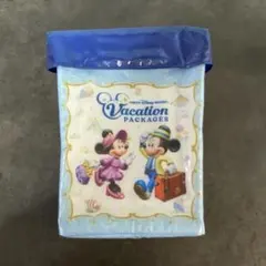 ディズニー　バケーションパッケージ　ポップコーンケース