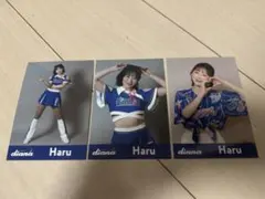 Item thumbnail for item 0555c7ab-0de3-41d7-9b31-faacddcfab52