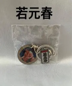 大相撲ガチャ【若元春】ダブルメタルチャームキーホルダー ⭐︎おまけ付き