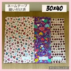 ランチョンマット30×40 女の子　3枚組　ネームテープ付き　SET⑤