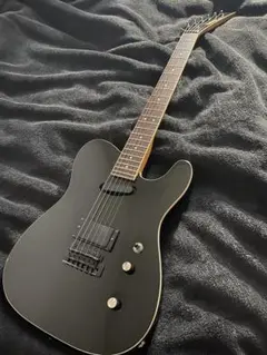 布袋モデル