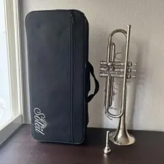 2025年最新】バルブ トロンボーンの人気アイテム - メルカリ