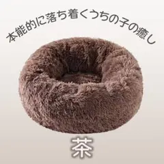 Item thumbnail for item bbefdd85-e819-4a59-a37d-a04ac6c67c57