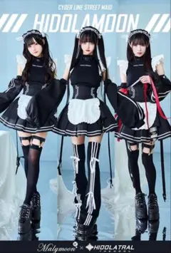 2026年最新】HIDOLATRAL theodolの人気アイテム - メルカリ