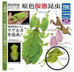 カマキリ カプセルトイ