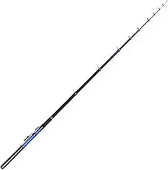 DAIWA HZ 入舟カレイ 30/40号 210 船竿 DAIWA HZ 入舟カレイ、アイナメ、根魚 30/40号 2種穂先210 船竿 - メルカリ
