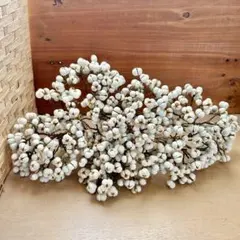 ナンキンハゼ　ドライ　70本　リース　素材 ②1