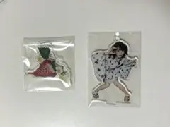 2026年最新】大森靖子の人気アイテム - メルカリ