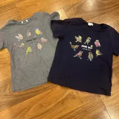3can4on 130サイズ　T2シャツ2枚組