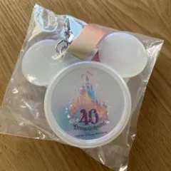 ディズニー　40周年　スーベニア　スナックケース