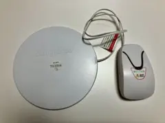 Item thumbnail for item 5c1fcbc8-704f-4ce1-8690-fedbc975769c