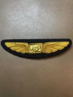 ♦超希少 • レア■ ANK / エアーニッポン パイロット ウイングバッジ Amazon.co.jp: ANK エアーニッポン パイロット ウィングバッジ