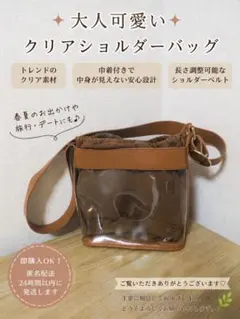 AMERI クリアショルダーバッグ 巾着付き 値引き交渉可能のサムネイル