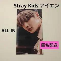 StrayKids スキズ アイエン ポラ風 トレカ - メルカリ