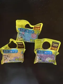 ペットボトルカバー　ポケモン