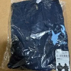 Free!FS 松岡凛モデル トレーニングクロスパンツ Mサイズ MIZUNO